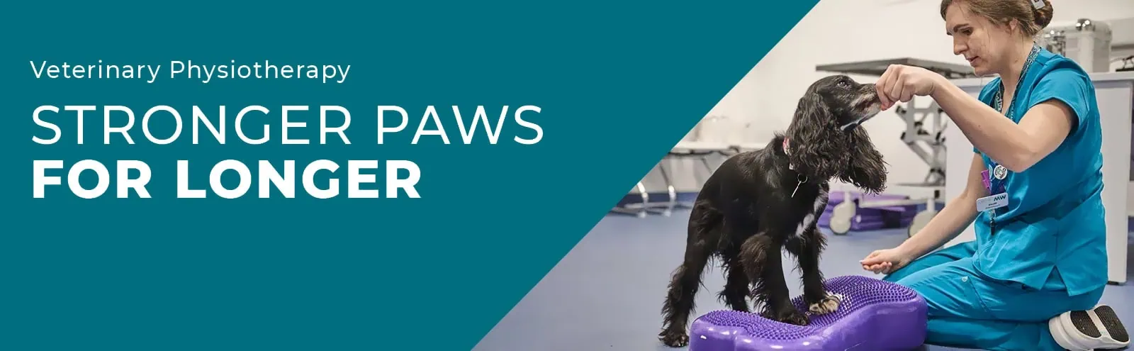 West Midlands Veterinary Referrals in Burton On Trent, Staffordshire