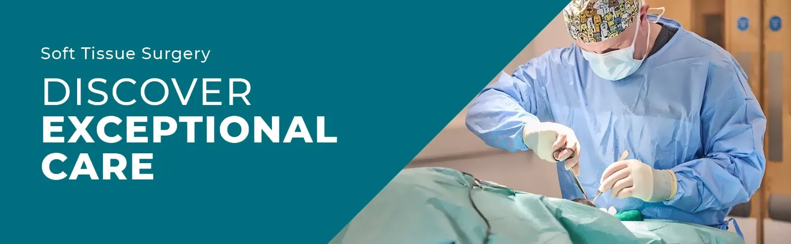 West Midlands Veterinary Referrals in Burton On Trent, Staffordshire
